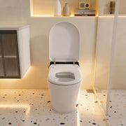 12“ Rough In Toilet with Bidet and Dryer for Power Outage